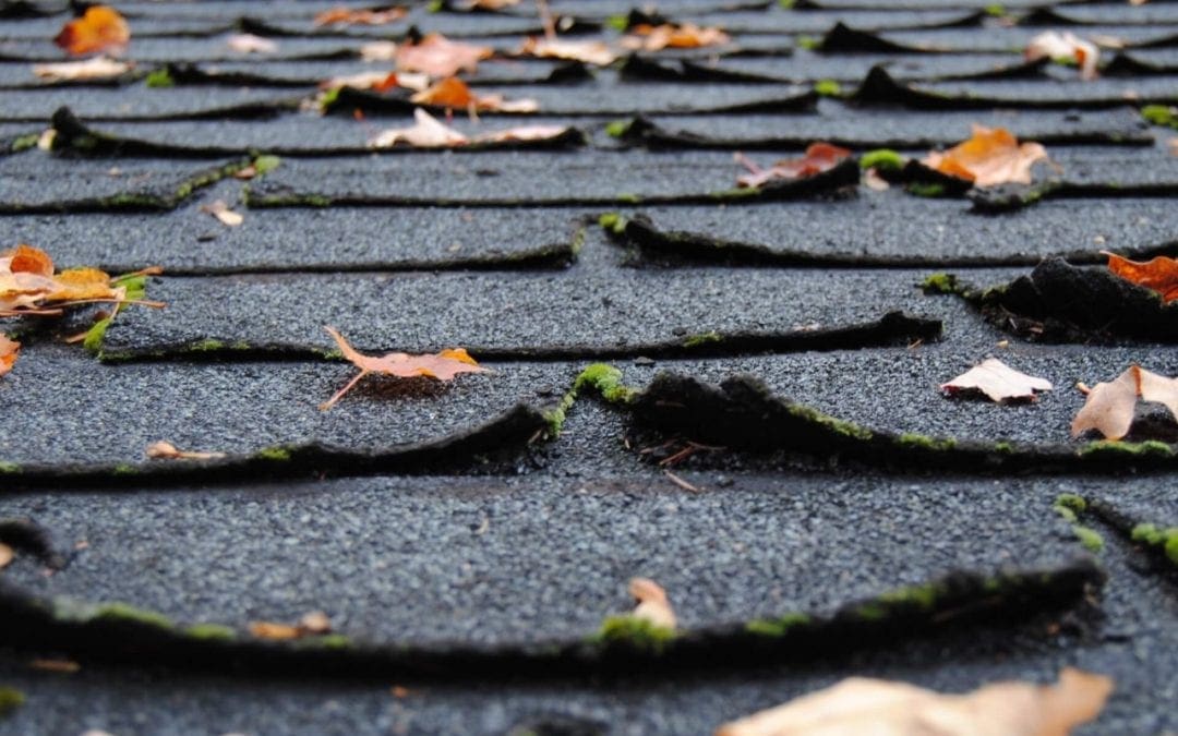 Signs that it’s Time for a Roof Replacement